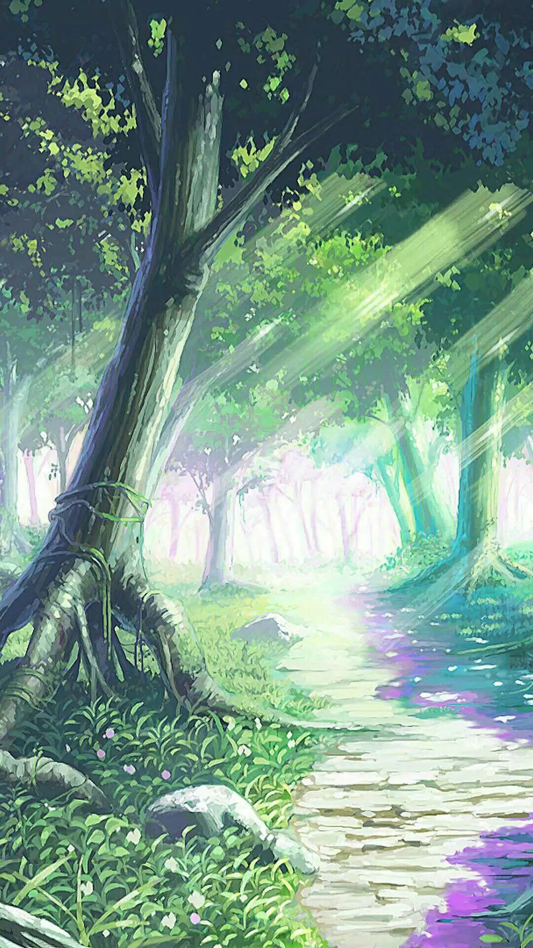 迷路VGC
